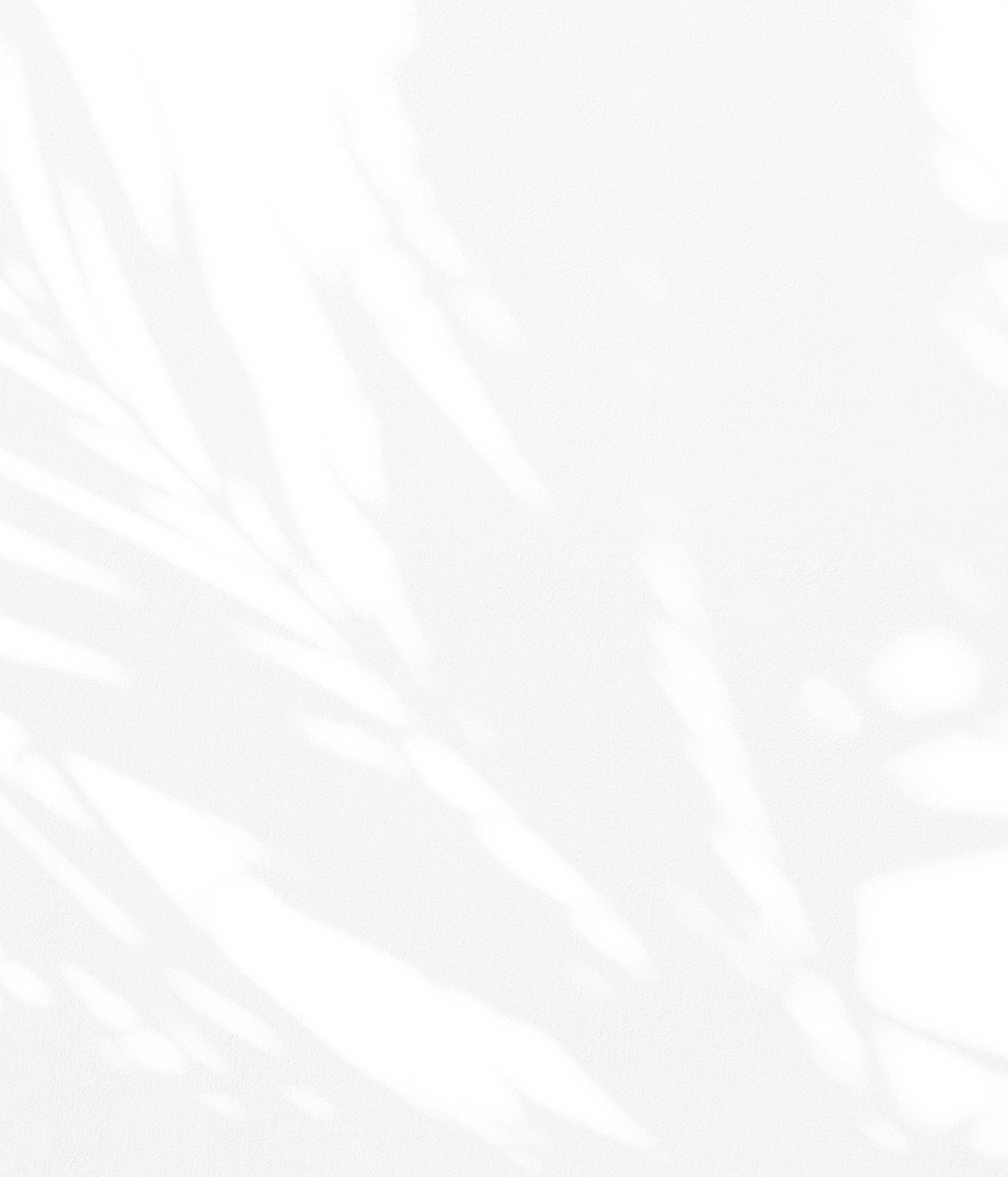 Shadows of leaves on a white background.